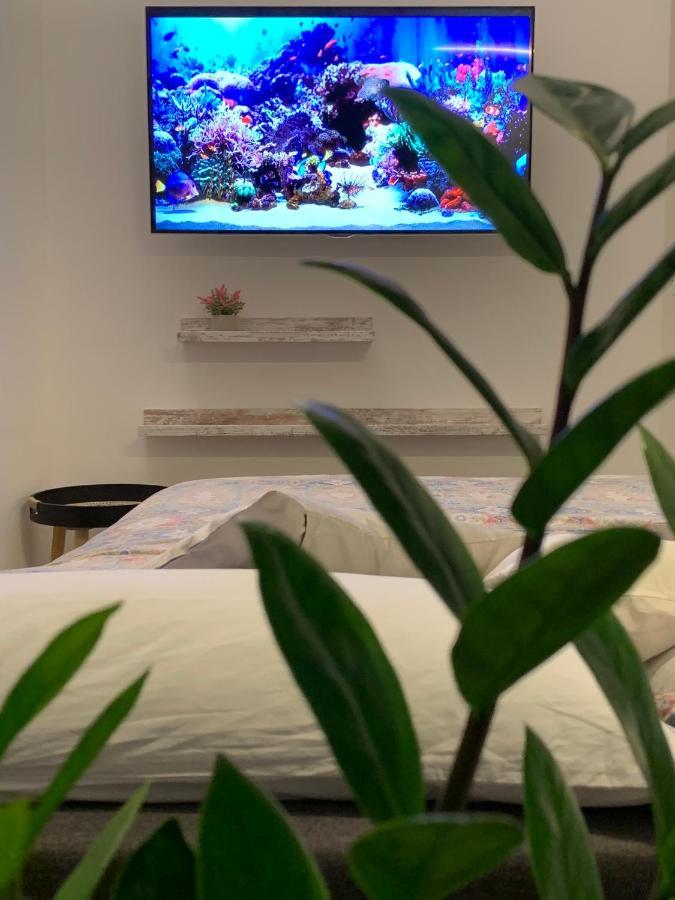 Peaknest - La Tua Vacanza Sul Lago Di Garda Arco Zewnętrze zdjęcie